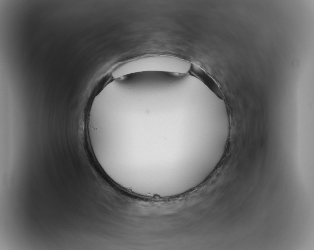 X0000096150005200802151403