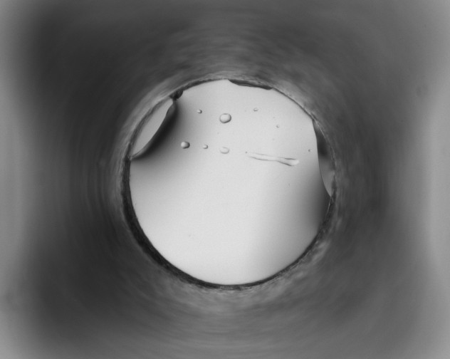 X0000096150007200802151403