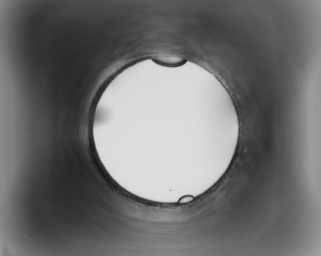 X0000096150008200802151403