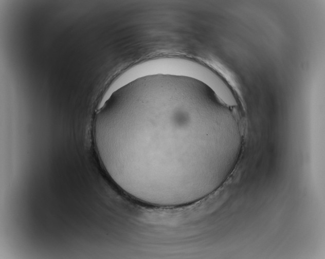 X0000096150009200802151403