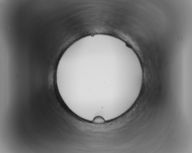 X0000096150010200802151403