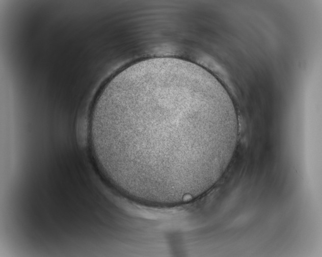 X0000096150012200802151403