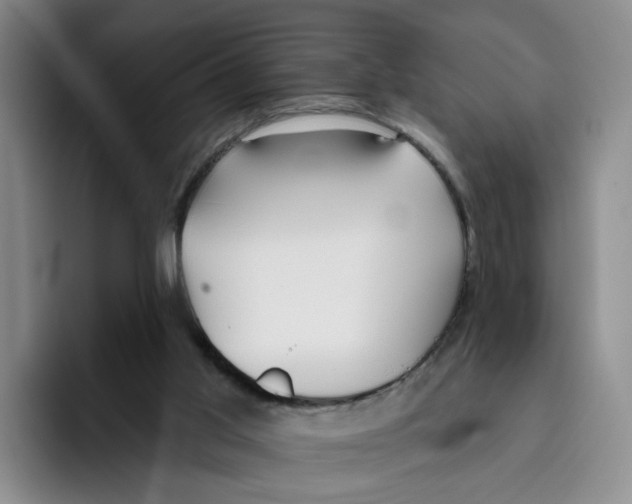 X0000096150013200802151403