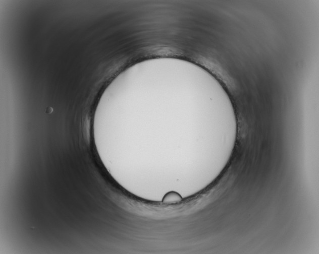 X0000096150014200802151403