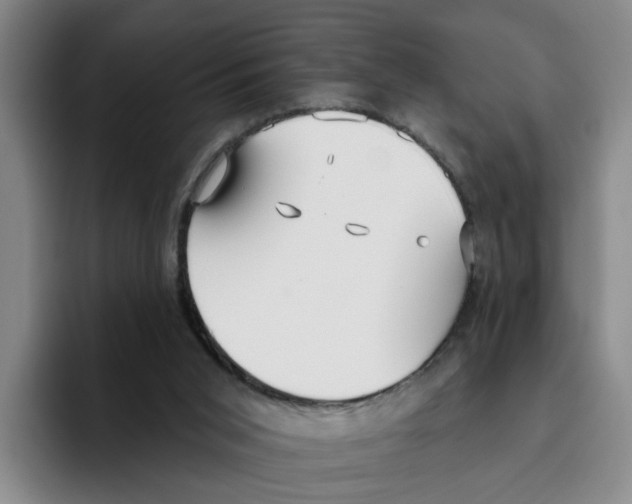 X0000096150015200802151403