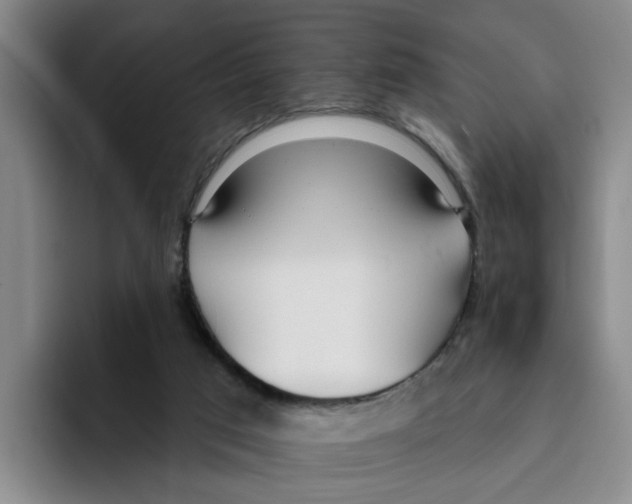 X0000096150017200802151403