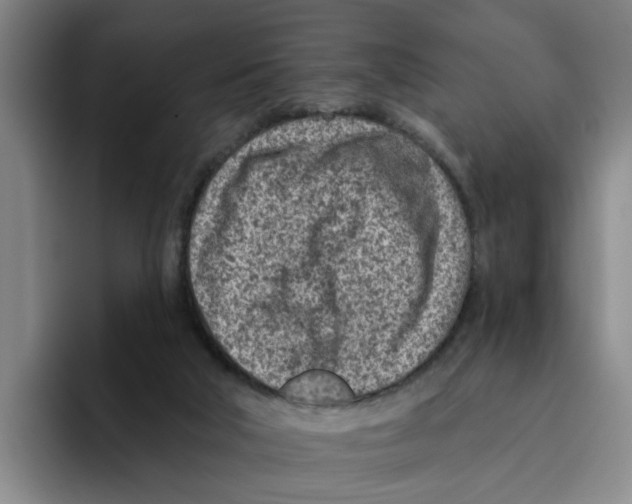 X0000096150018200802151403