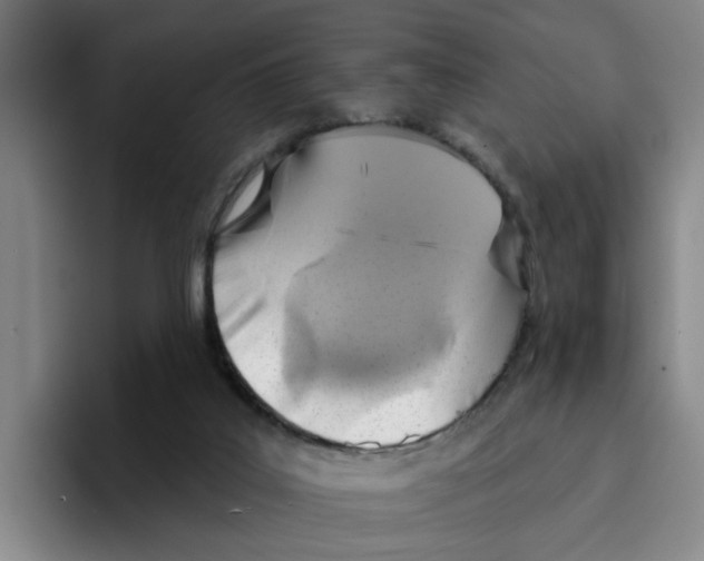 X0000096150019200802151403