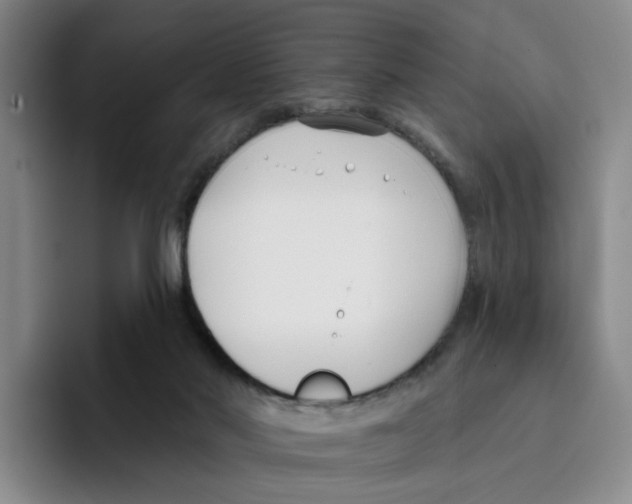 X0000096150022200802151403