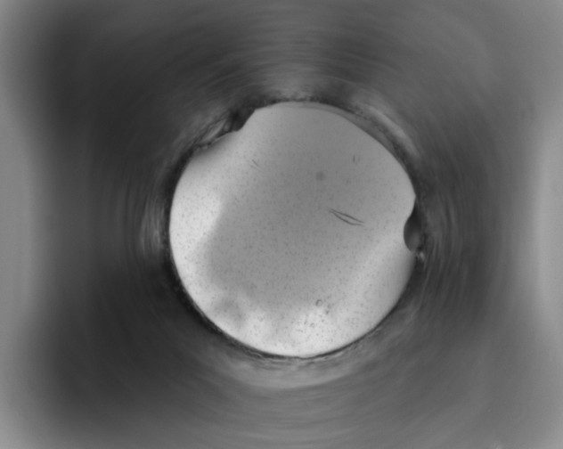 X0000096150023200802151403