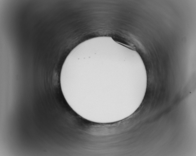 X0000096150025200802151403