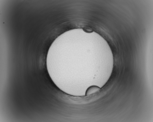 X0000096150030200802151403