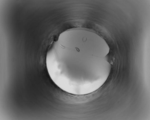 X0000096150031200802151403