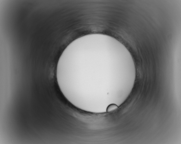 X0000096150032200802151403