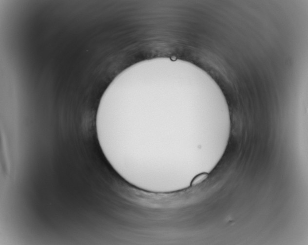 X0000096150034200802151403