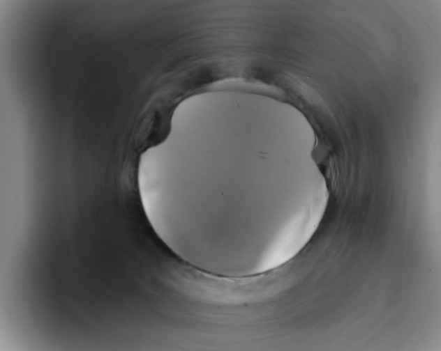 X0000096150035200802151403