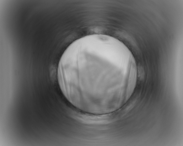 X0000096150036200802151403