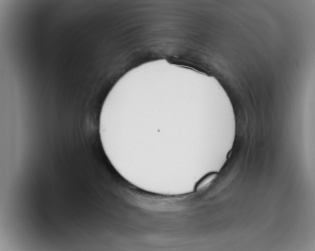 X0000096150040200802151403