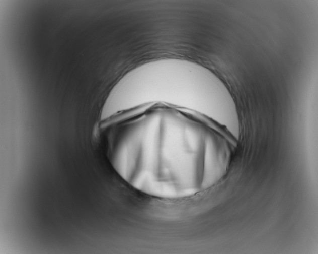 X0000096150041200802151403