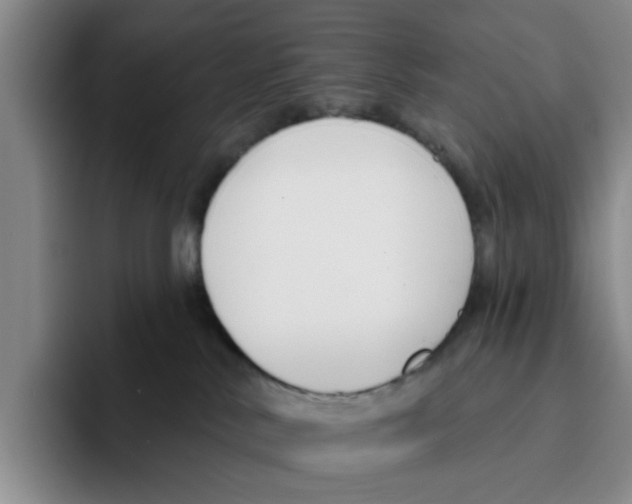 X0000096150042200802151403