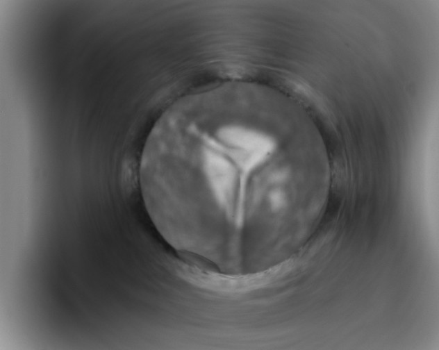 X0000096150043200802151403