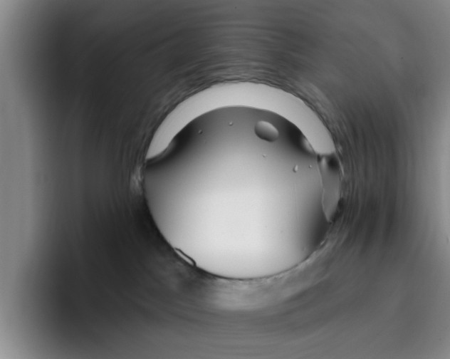 X0000096150045200802151403