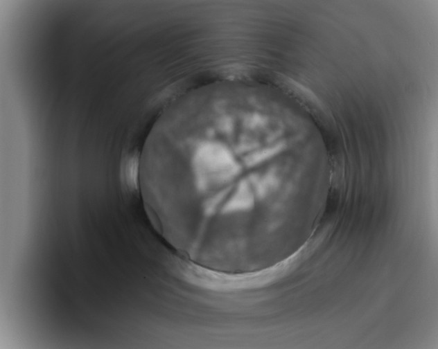 X0000096150047200802151403