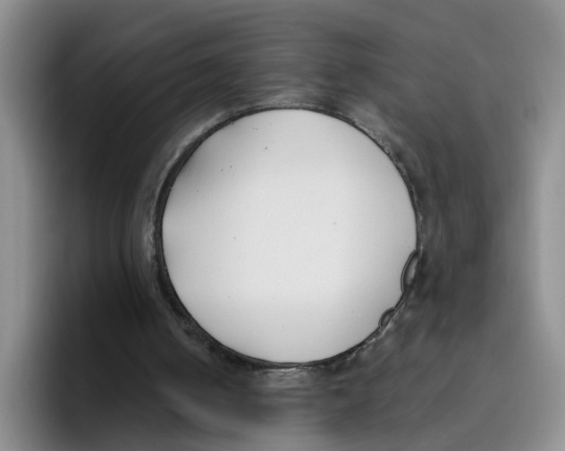 X0000096150050200802151402