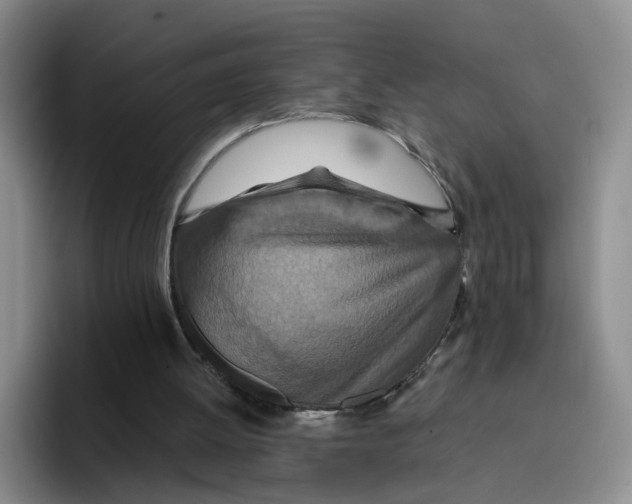 X0000096150052200802151402