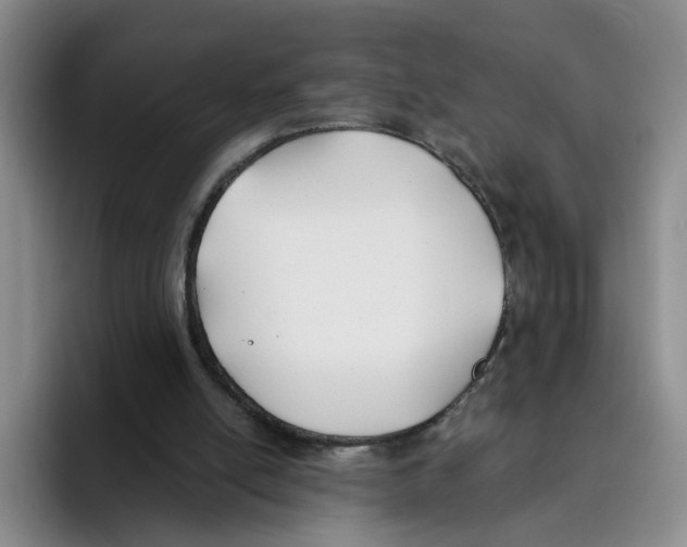 X0000096150054200802151402