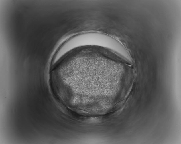 X0000096150056200802151402