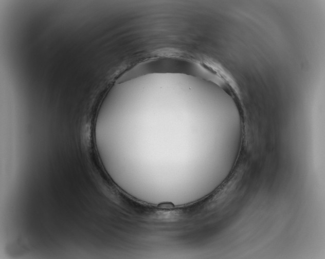 X0000096150057200802151402