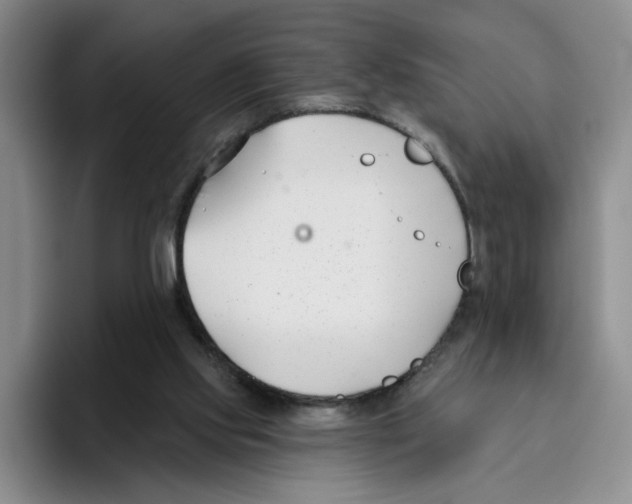 X0000096150061200802151402