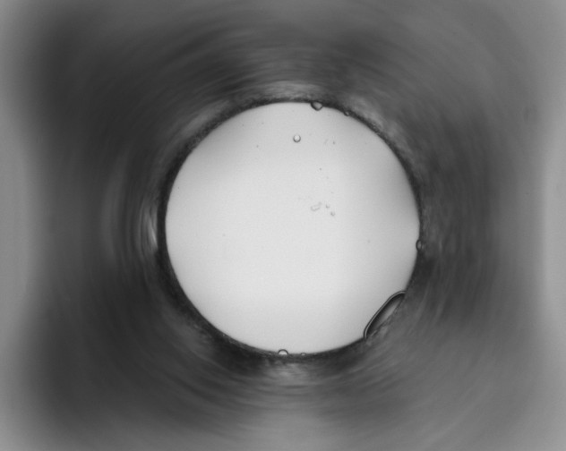 X0000096150062200802151402