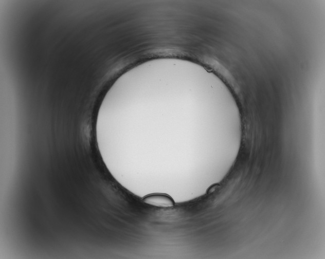 X0000096150063200802151402