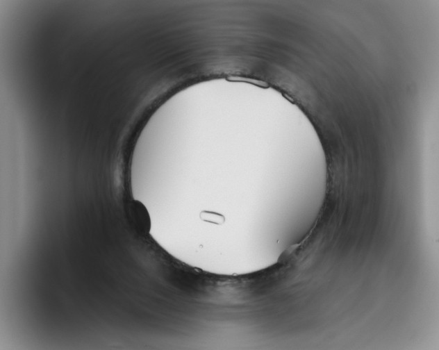 X0000096150064200802151403