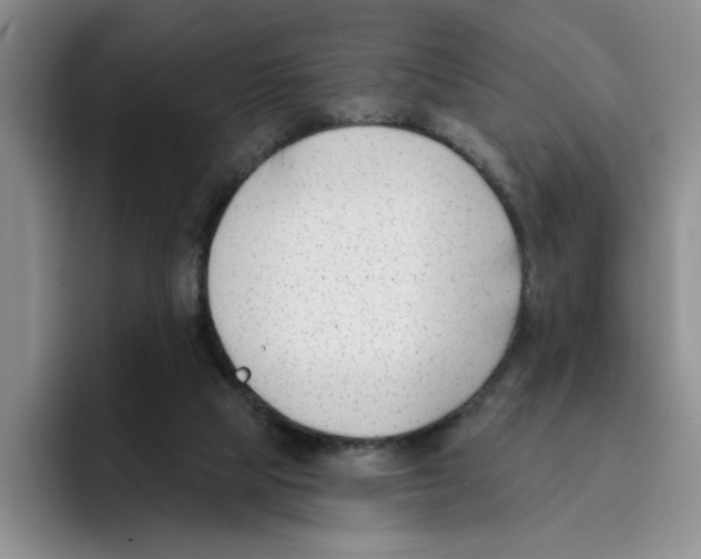 X0000096150065200802151403