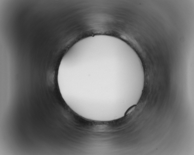 X0000096150066200802151403