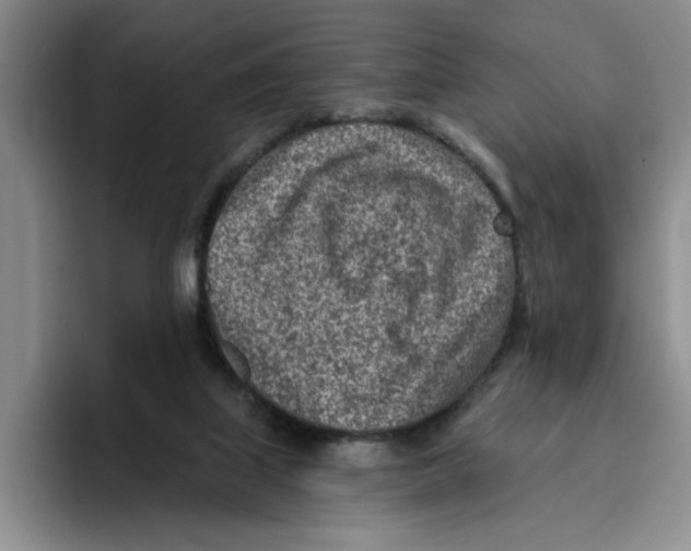 X0000096150067200802151403