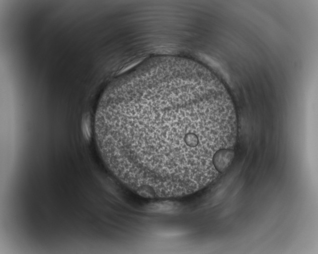 X0000096150069200802151403