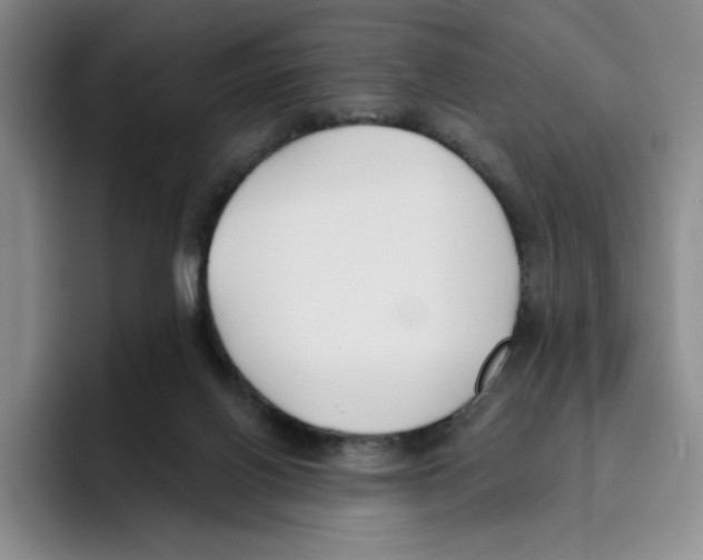 X0000096150070200802151403