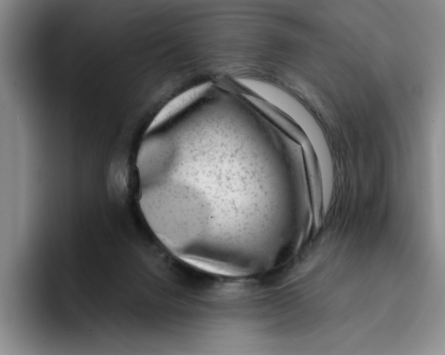 X0000096150072200802151403