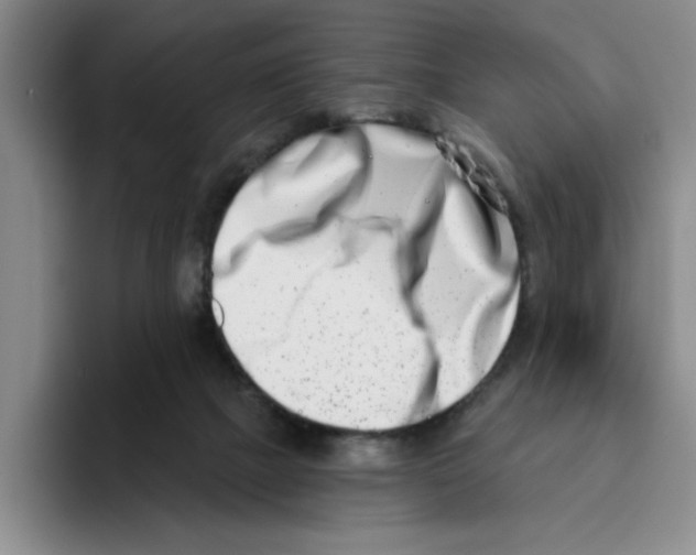 X0000096150073200802151403