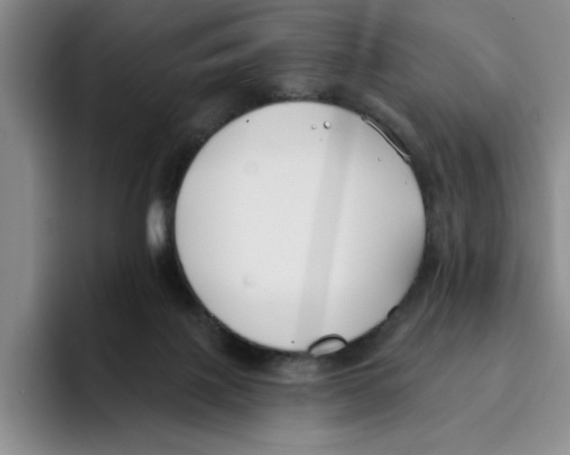 X0000096150075200802151403