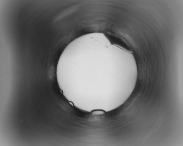 X0000096150077200802151403