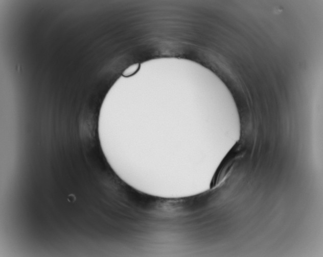 X0000096150078200802151403