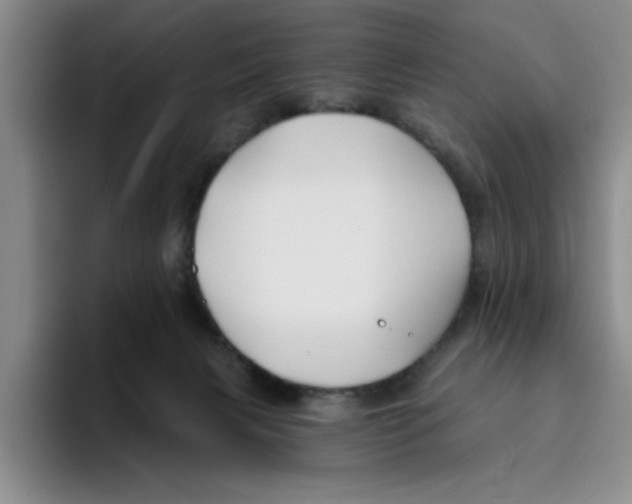 X0000096150079200802151403