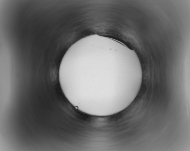 X0000096150081200802151403