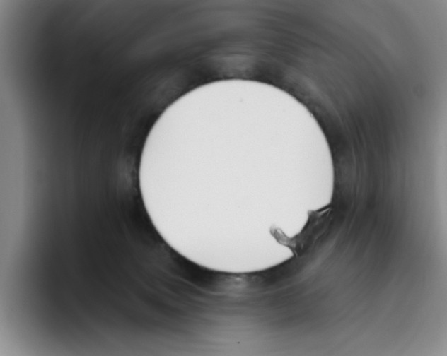 X0000096150083200802151403