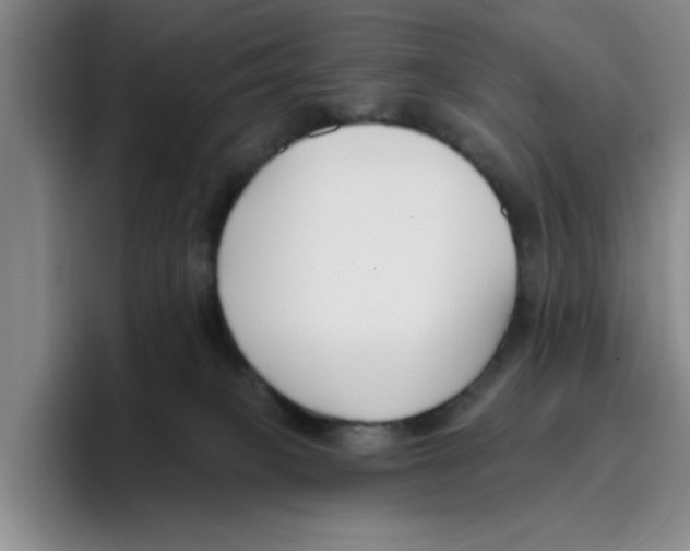 X0000096150085200802151403